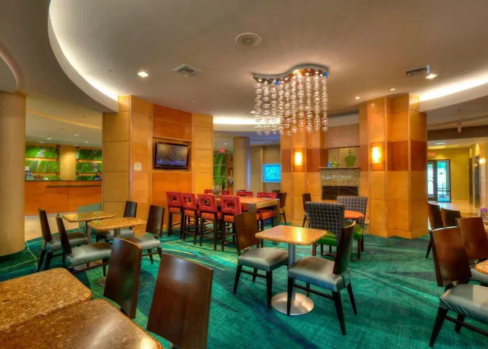 Springhill Suites By Marriott - Tampa Brandon