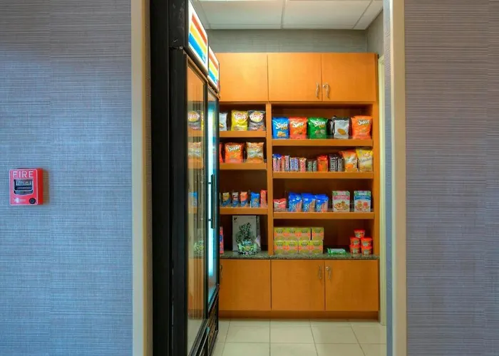 Springhill Suites By Marriott - Tampa Brandon