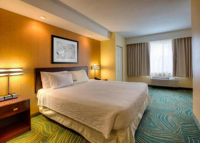 Springhill Suites By Marriott - Tampa Brandon